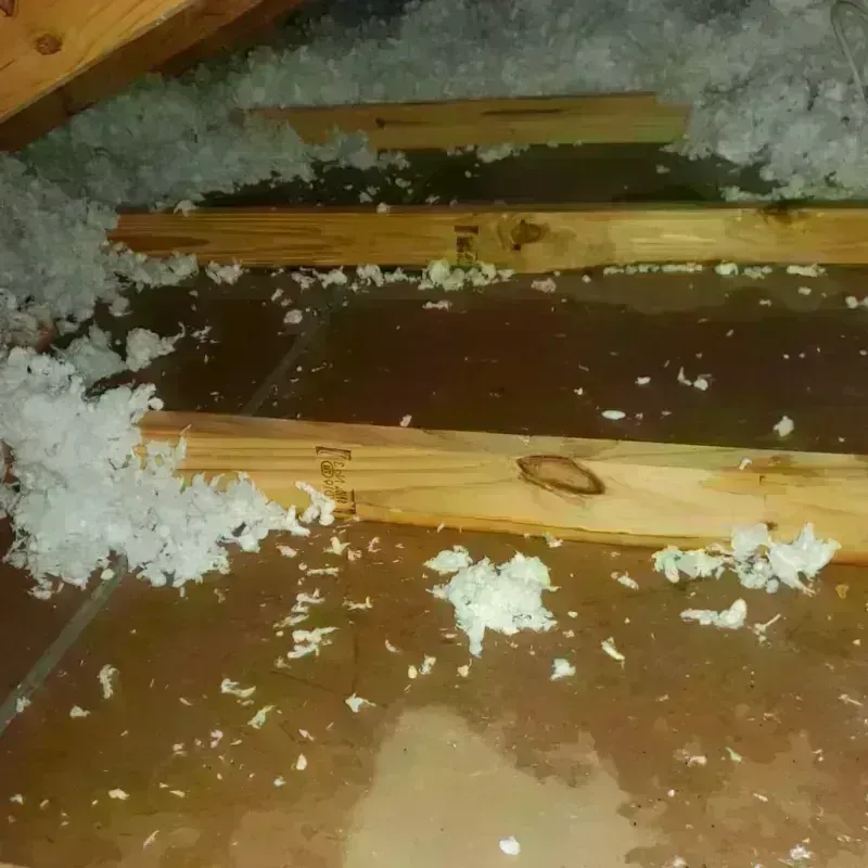 Attic Water Damage in Pampa, TX